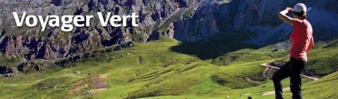 image Voyager vert